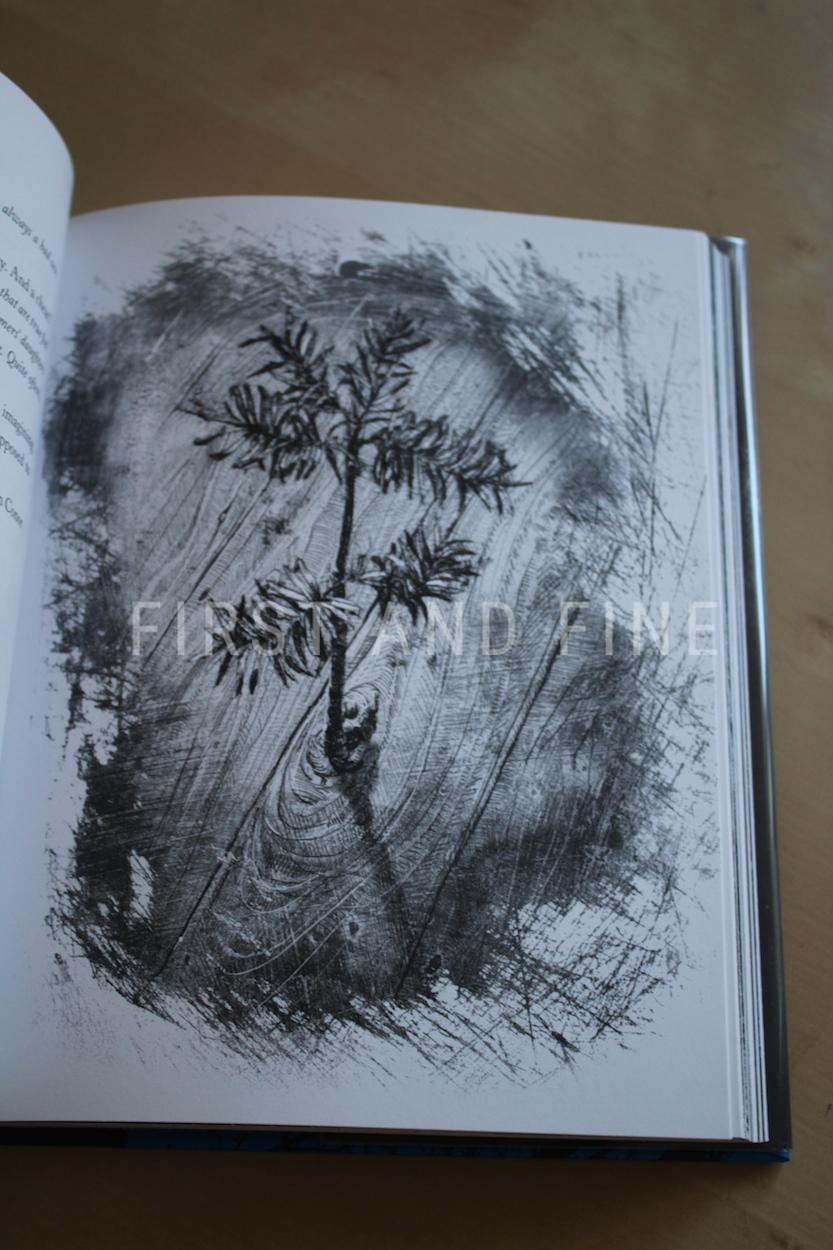 Ness, Patrick (2011) 'A Monster Calls', first edition, signed and lined by the author AND signed and sketched by the illustrator - Image 5