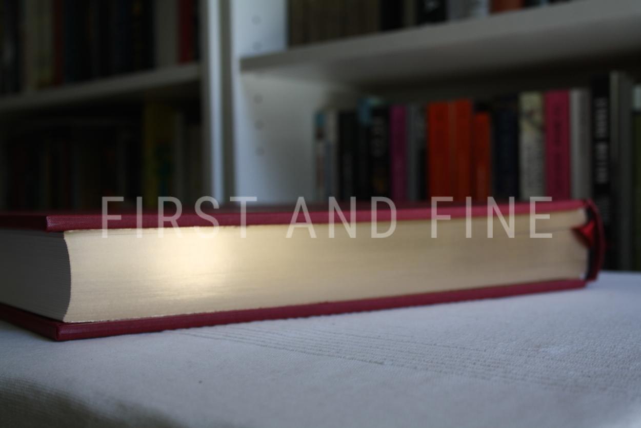 Roberts, David (2010) 'The Holy Land' and 'Egypt and Nubia', Folio Society limited edition - Image 36
