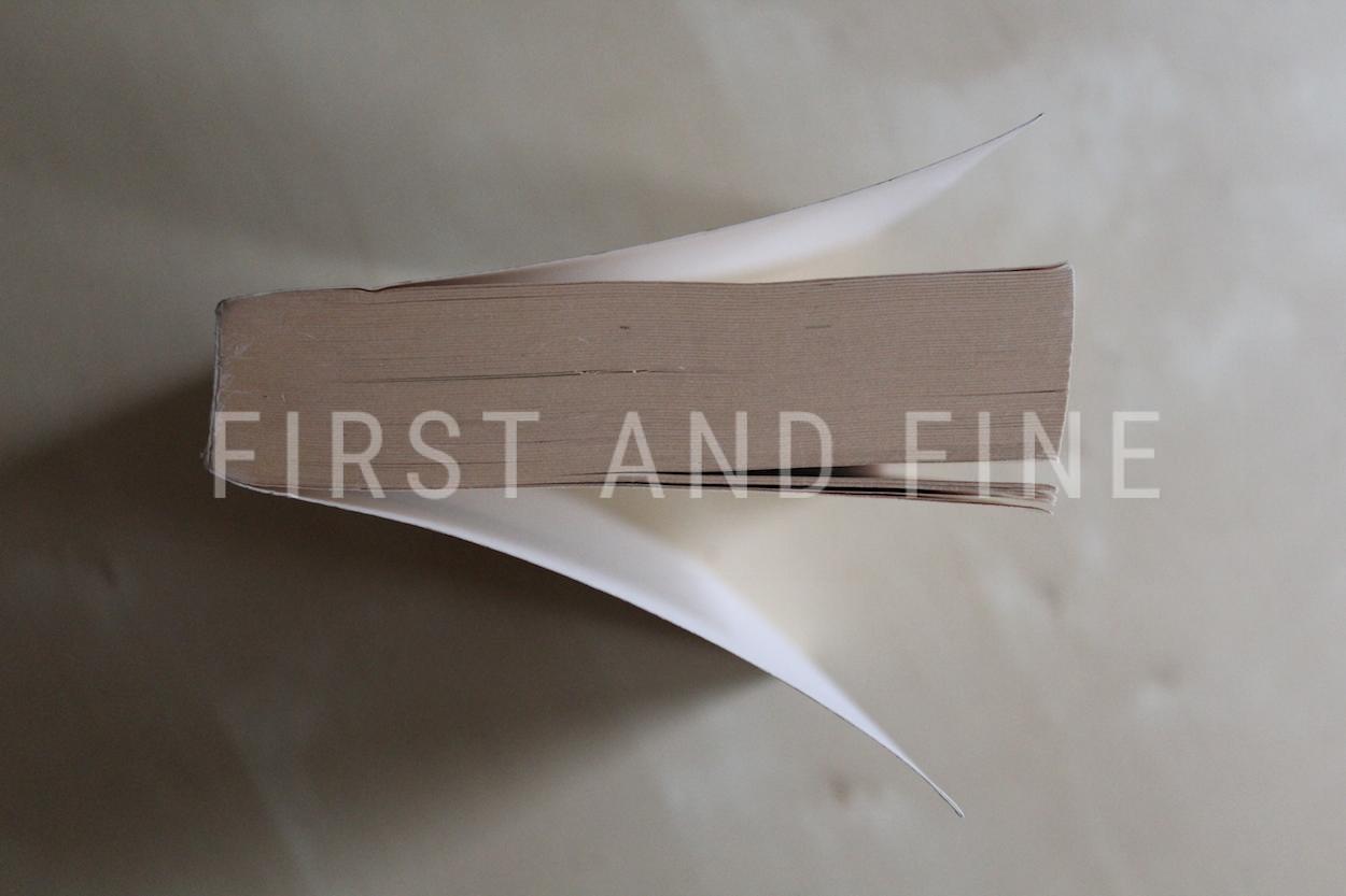 Foster Wallace, David (1987) 'The Broom of the System', signed first edition association copy - Image 9