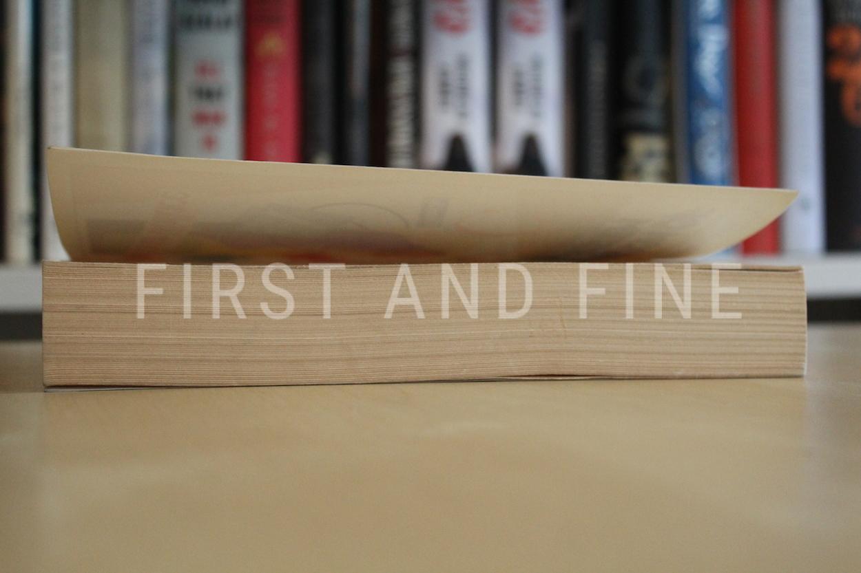 Foster Wallace, David (1987) 'The Broom of the System', signed first edition association copy - Image 7