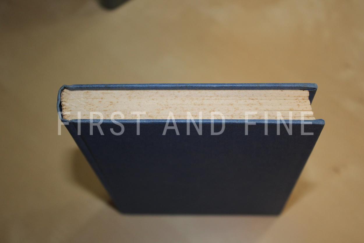 Barnes, Julian/ Kavanagh, Dan (1981) 'Fiddle City', UK first edition - Image 5