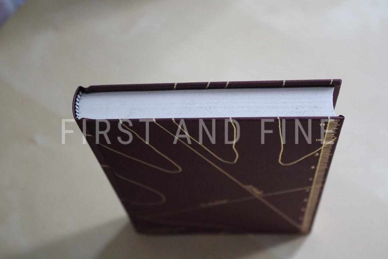 Mantel, Hilary (1998) 'The Giant O'Brian', UK signed first edition - Image 7
