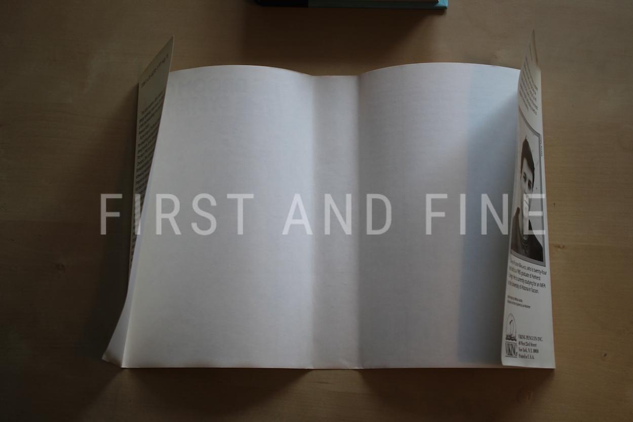Wallace, David Foster (1987) 'The Broom of the System', US signed first edition - Image 12