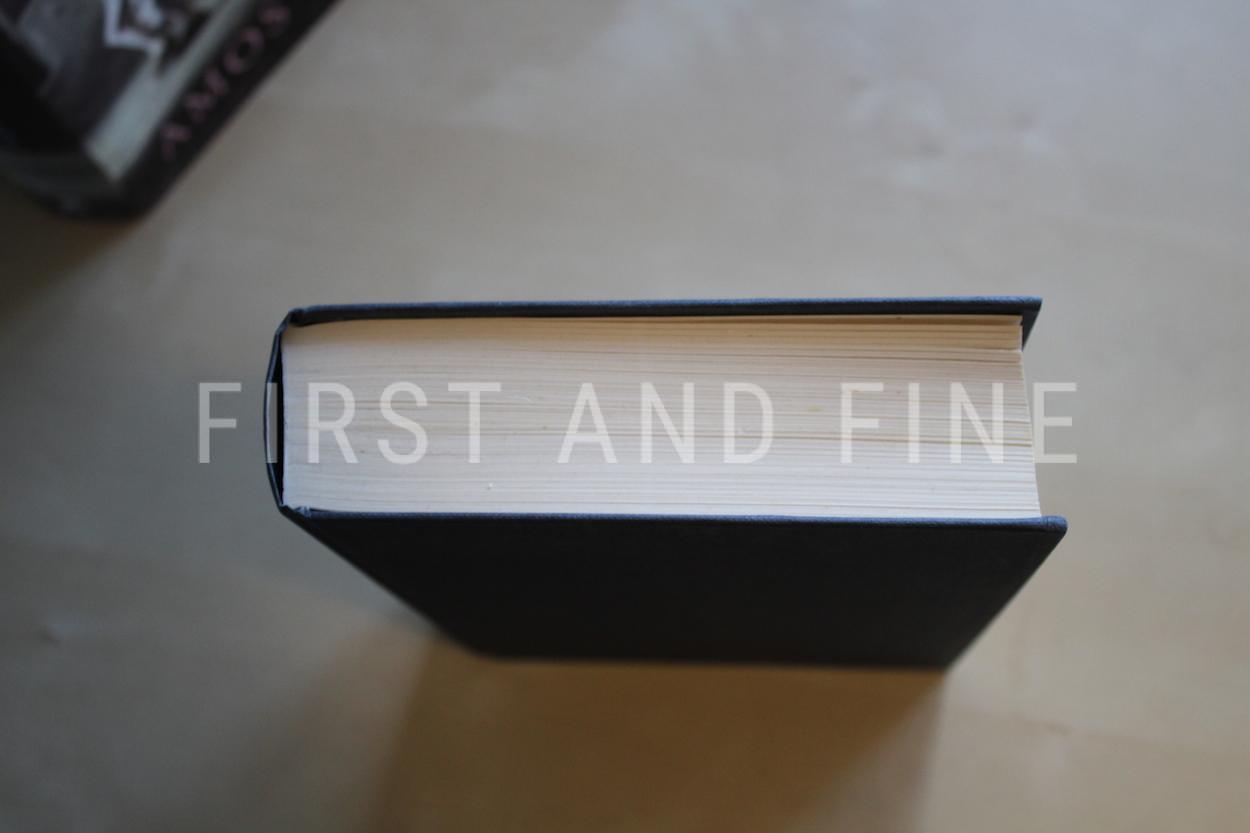 Oz, Amos (2004) 'A Tale of Love and Darkness', UK signed first edition - Image 8