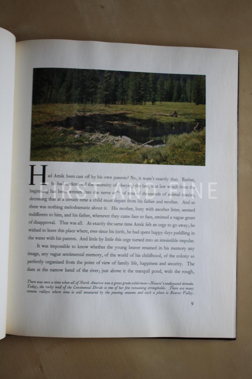 Disney, Walt (1950s) 'Walt Disney's Beaver Valley', US signed and inscribed first edition - Image 5