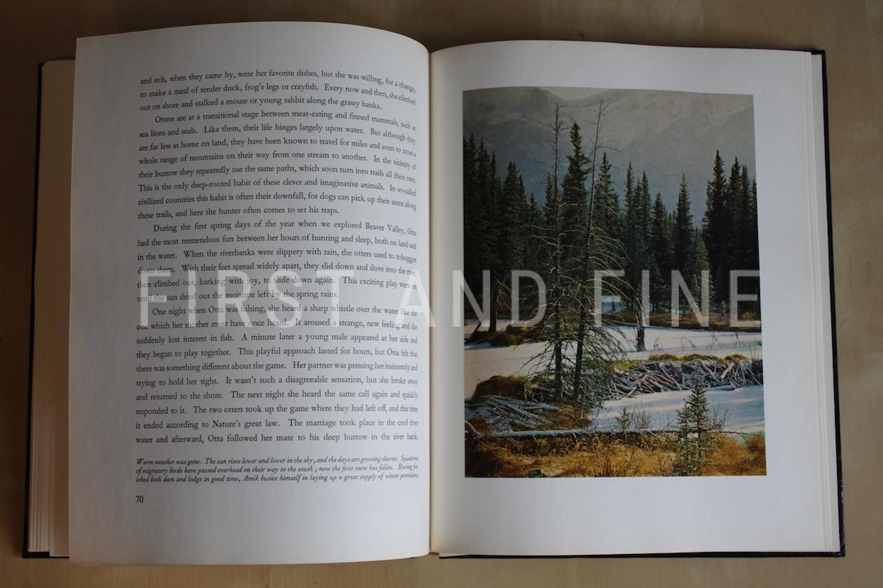 Disney, Walt (1950s) 'Walt Disney's Beaver Valley', US signed and inscribed first edition - Image 7