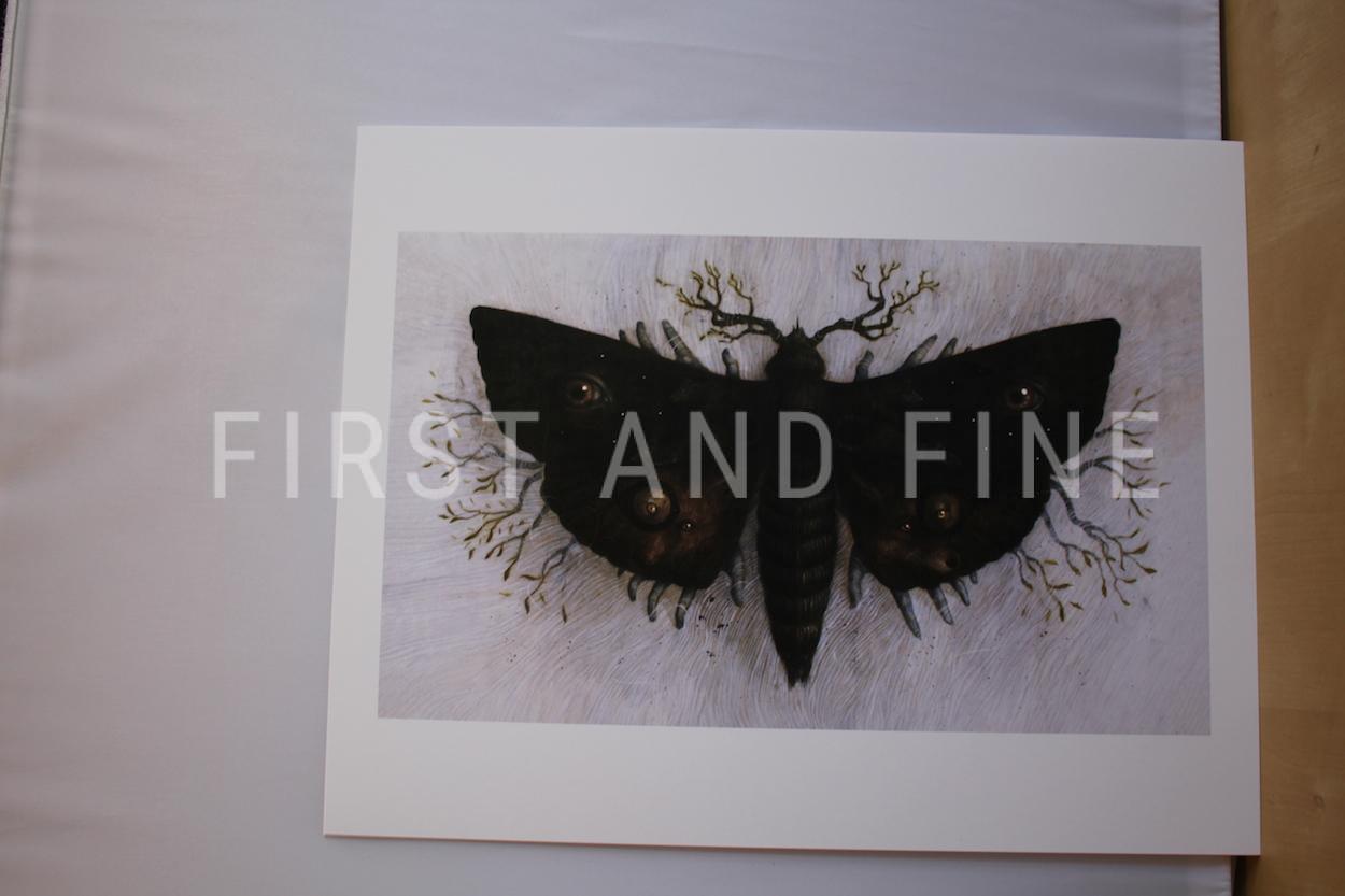 King, Stephen; King, Owen (2019) 'Sleeping Beauties', US signed limited edition with matching art portfolio - Image 17
