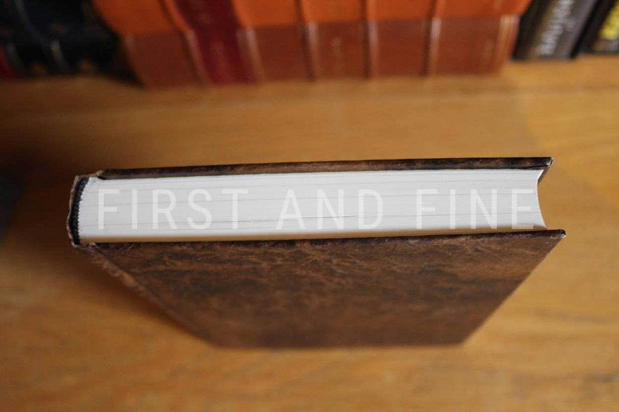 Ahlborn, Ania (2020) 'Brother', US signed limited edition, published by Suntup Press - Image 7