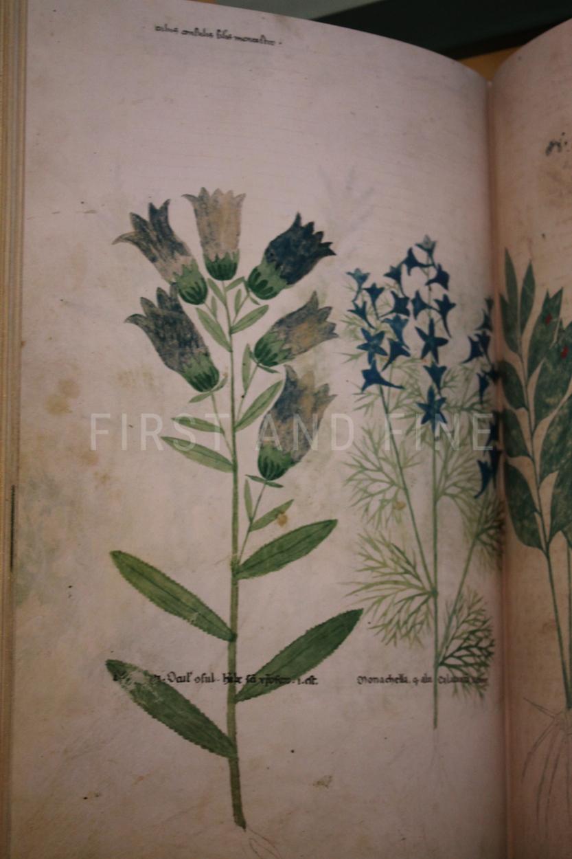 Tractatus de Herbis (2003), Folio Society limited edition - Image 10