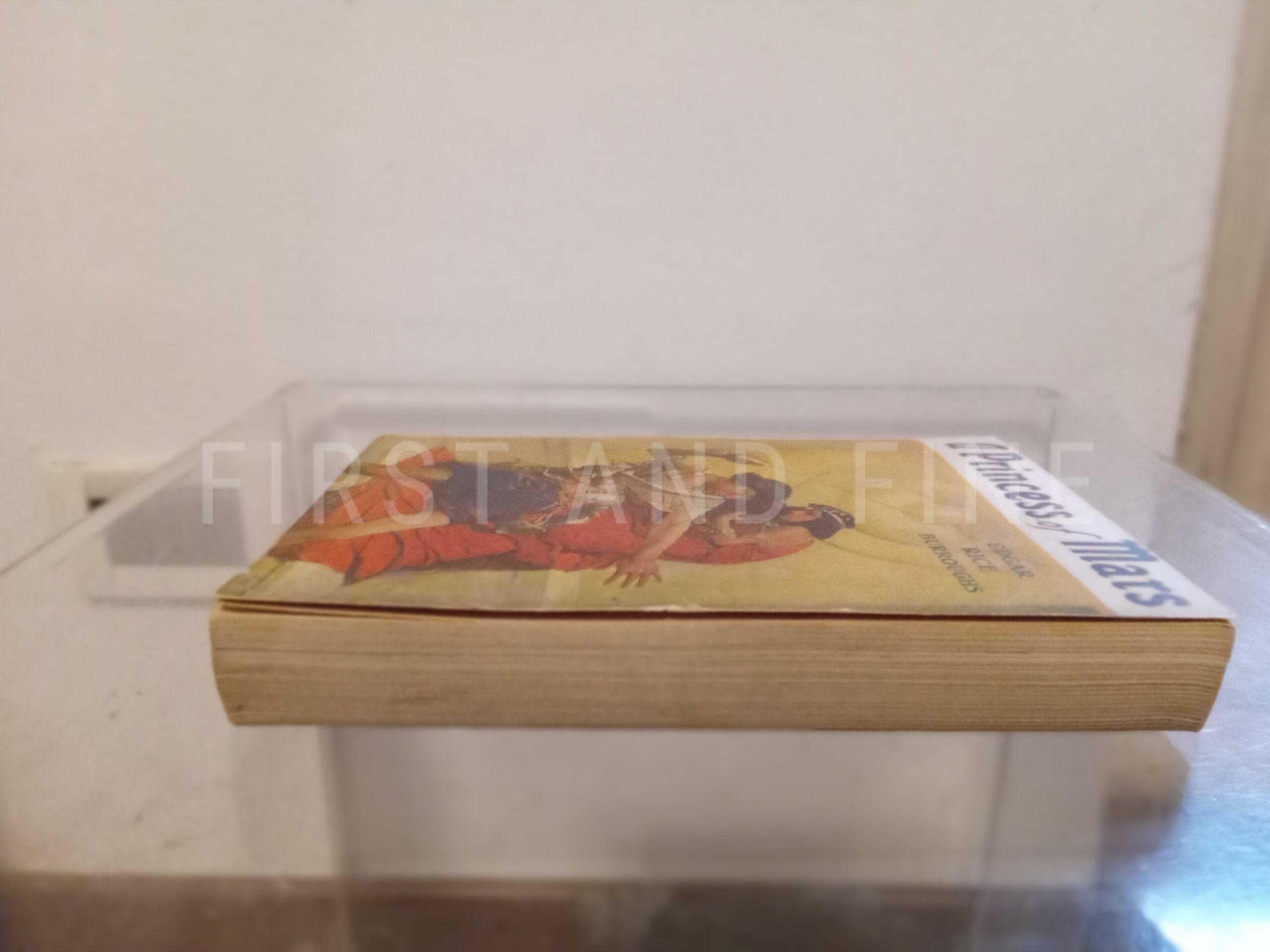 Burroughs, Edgar Rice (1917) 'A Princess of Mars', scarce US Advance Reading copy - Image 7