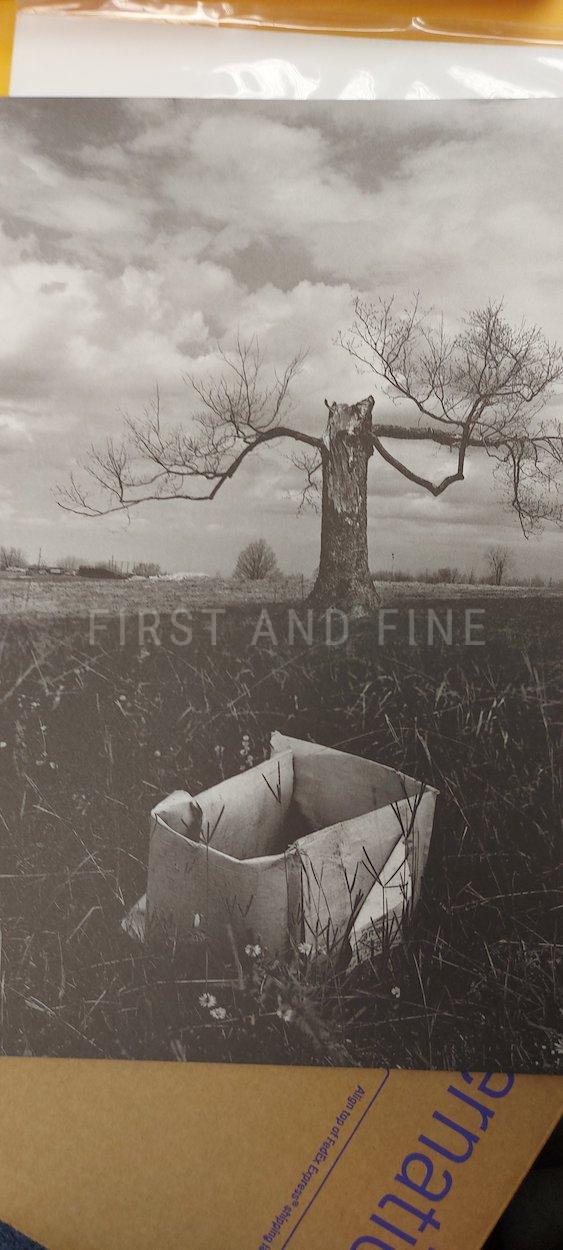King, Stephen (2004) 'Salem's Lot', US Centipede Press limited gift edition with additional art and custom slipcase - Image 6