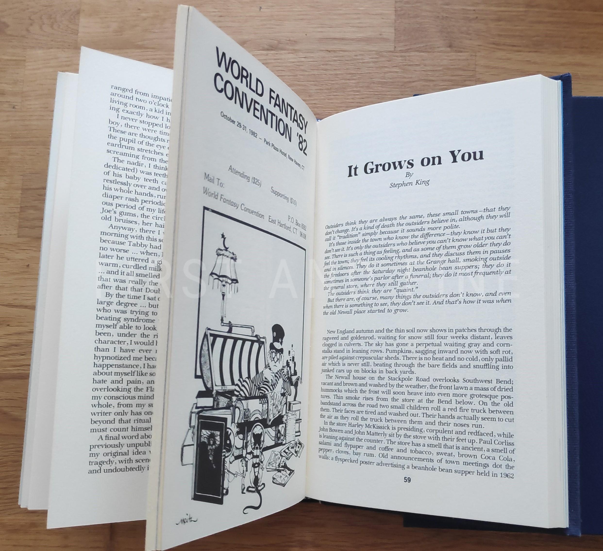 Schiff, Stuart David (editor); King, Stephen (author) (1982) 'Whispers', US signed lettered limited edition - Image 7