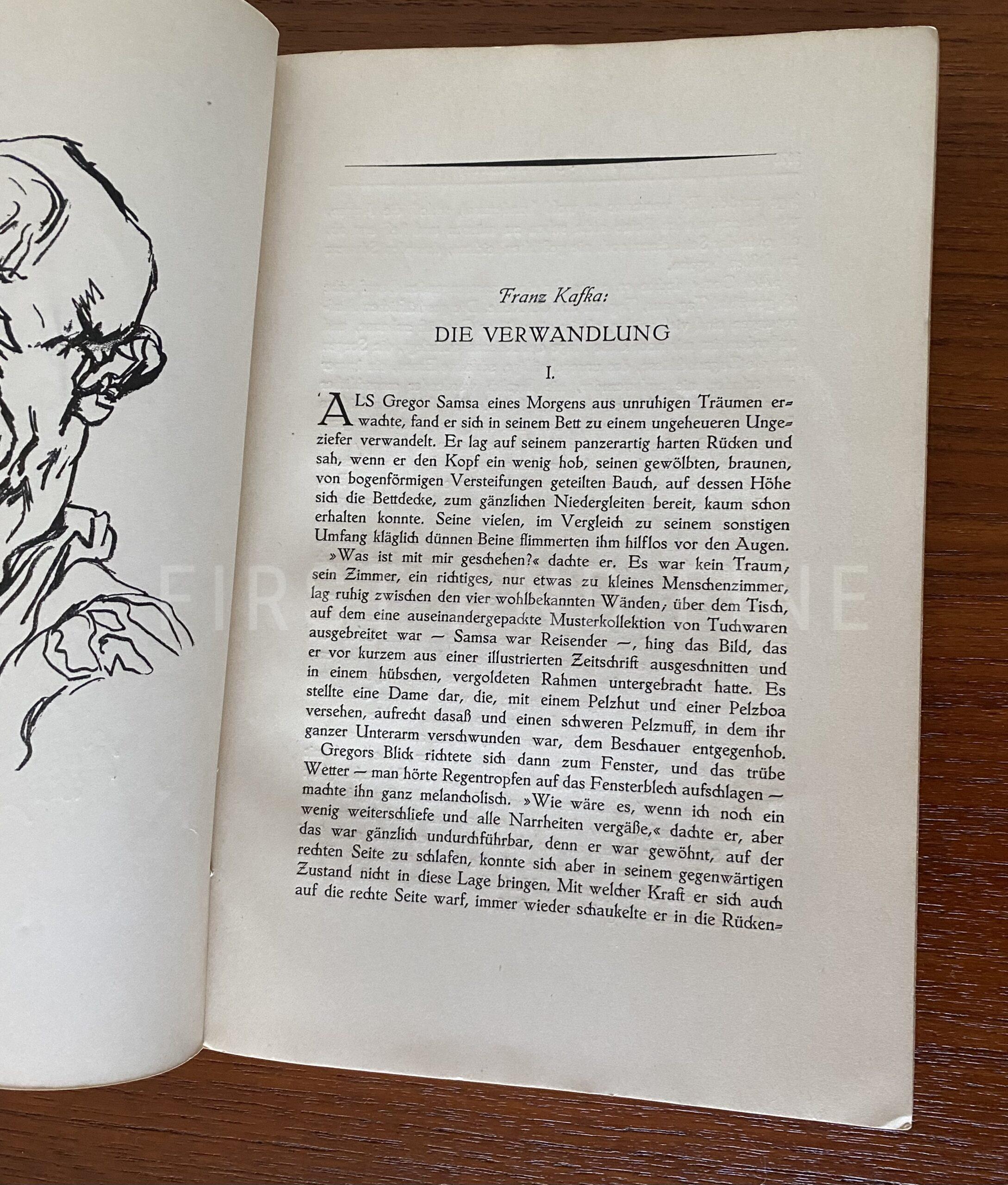 Kafka, Franz (1915) 'Die Verwandlung / Metamorphosis', true first edition/ publication in the original German language - Image 3