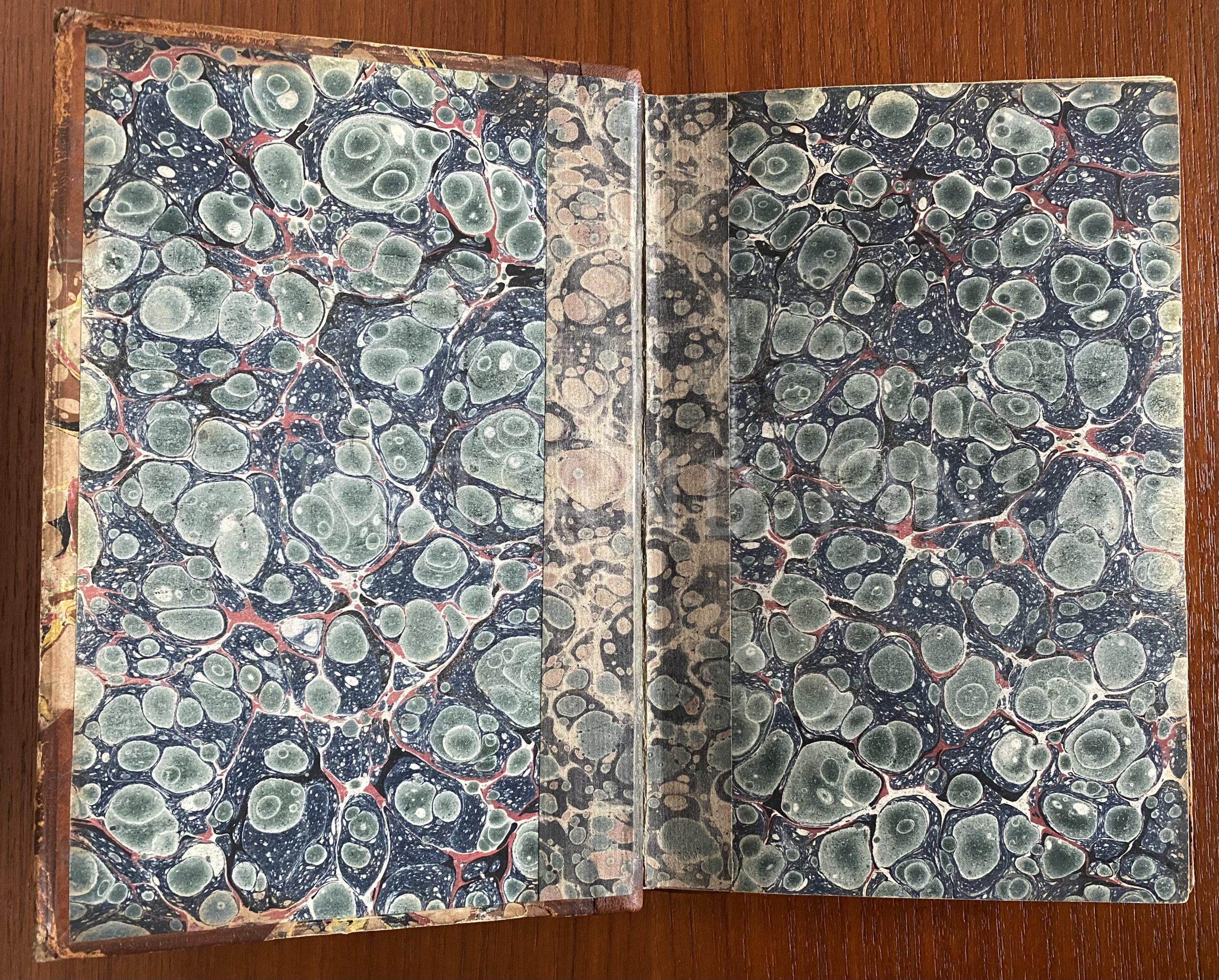 Lindley, John (1828) 'The Pomological Magazine: or Figures and Descriptions of the most Important Varieties of Fruit Cultivated in Great Britain' Vol I - Image 13